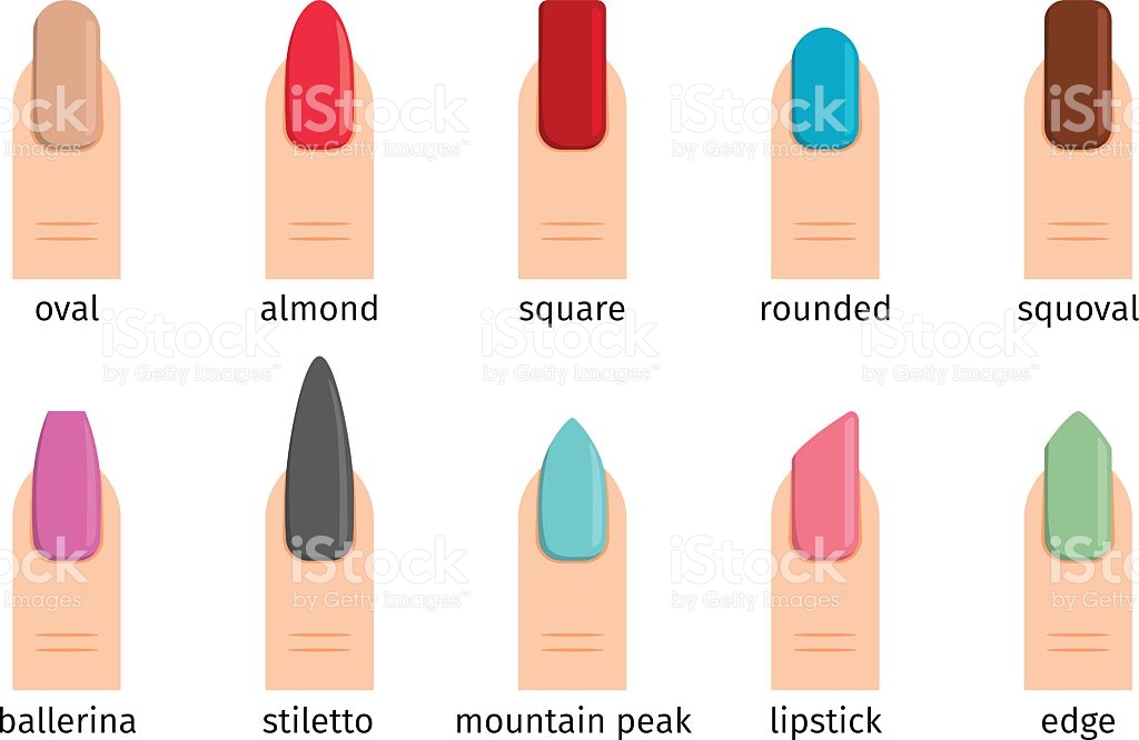 1024x666 Nails Clipart Vector
