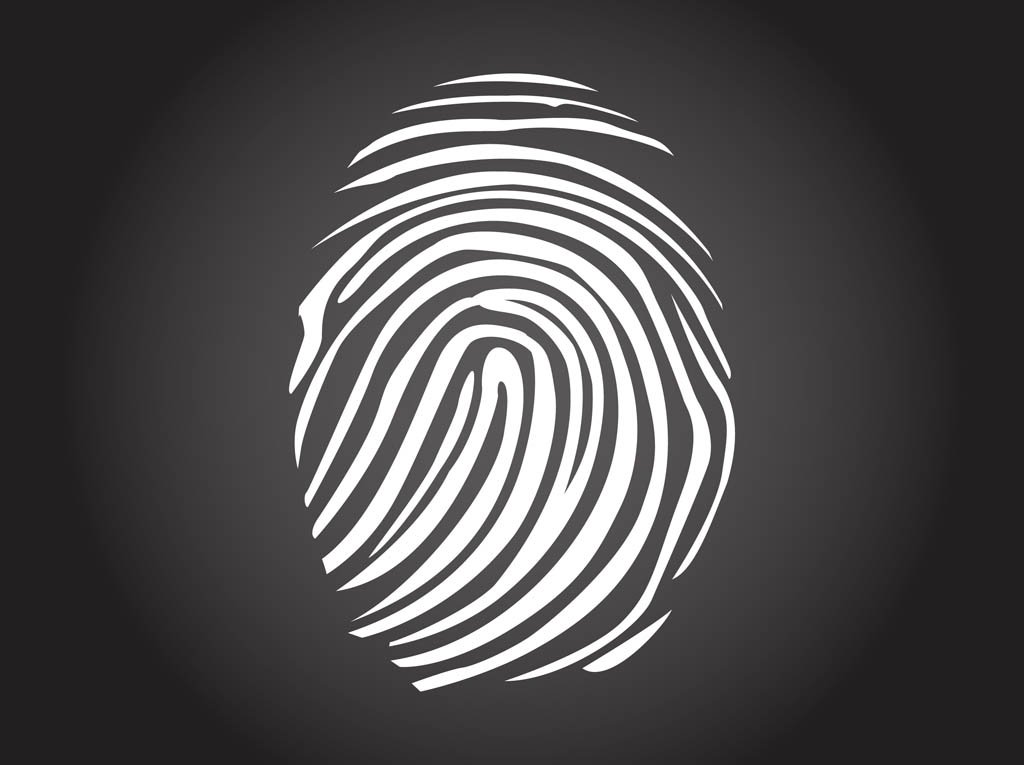 1024x765 Fingerprint Vector Art Amp Graphics