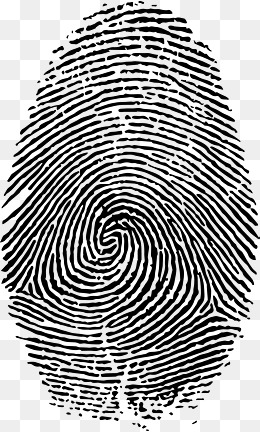 260x432 Fingerprint Vector Png, Vectors, Psd, And Clipart For Free
