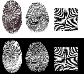 295x260 Fingerprint Vector Amp Graphics To Download