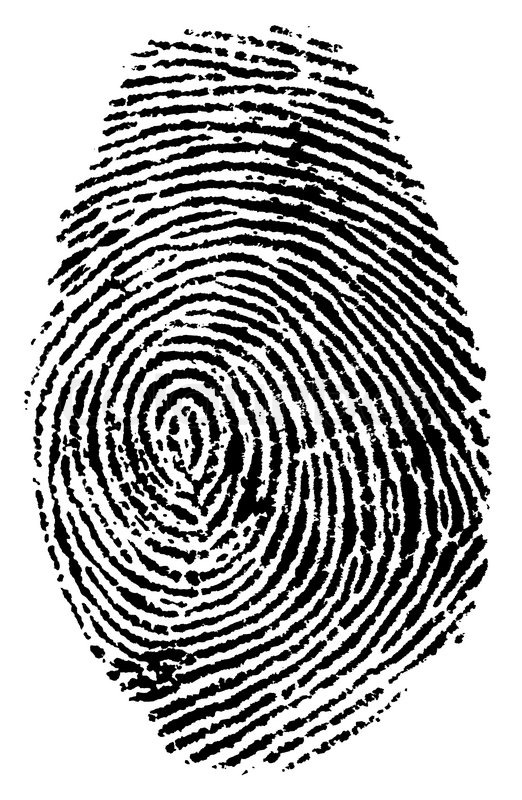 522x800 Fingerprint Vector Illustration Stock Vector Colourbox