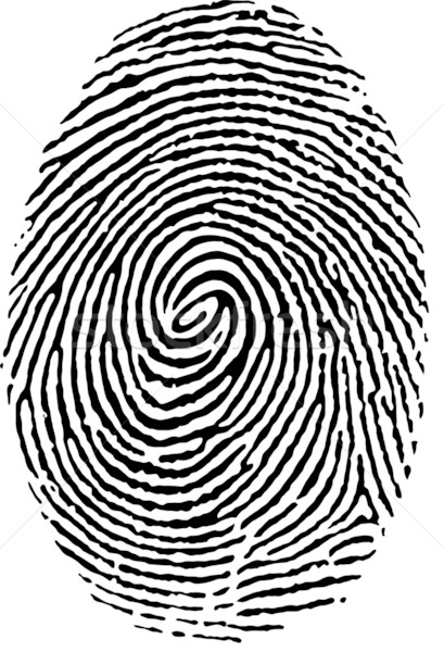 409x600 Fingerprint Vector Illustration Italianestro ( 301613) Stockfresh