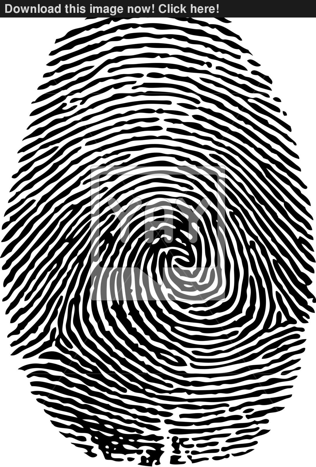 1083x1600 Fingerprint Vector Vector