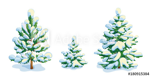 500x256 Little Snow Covered Pine Tree And Two Fir Trees. Vector Dwawing