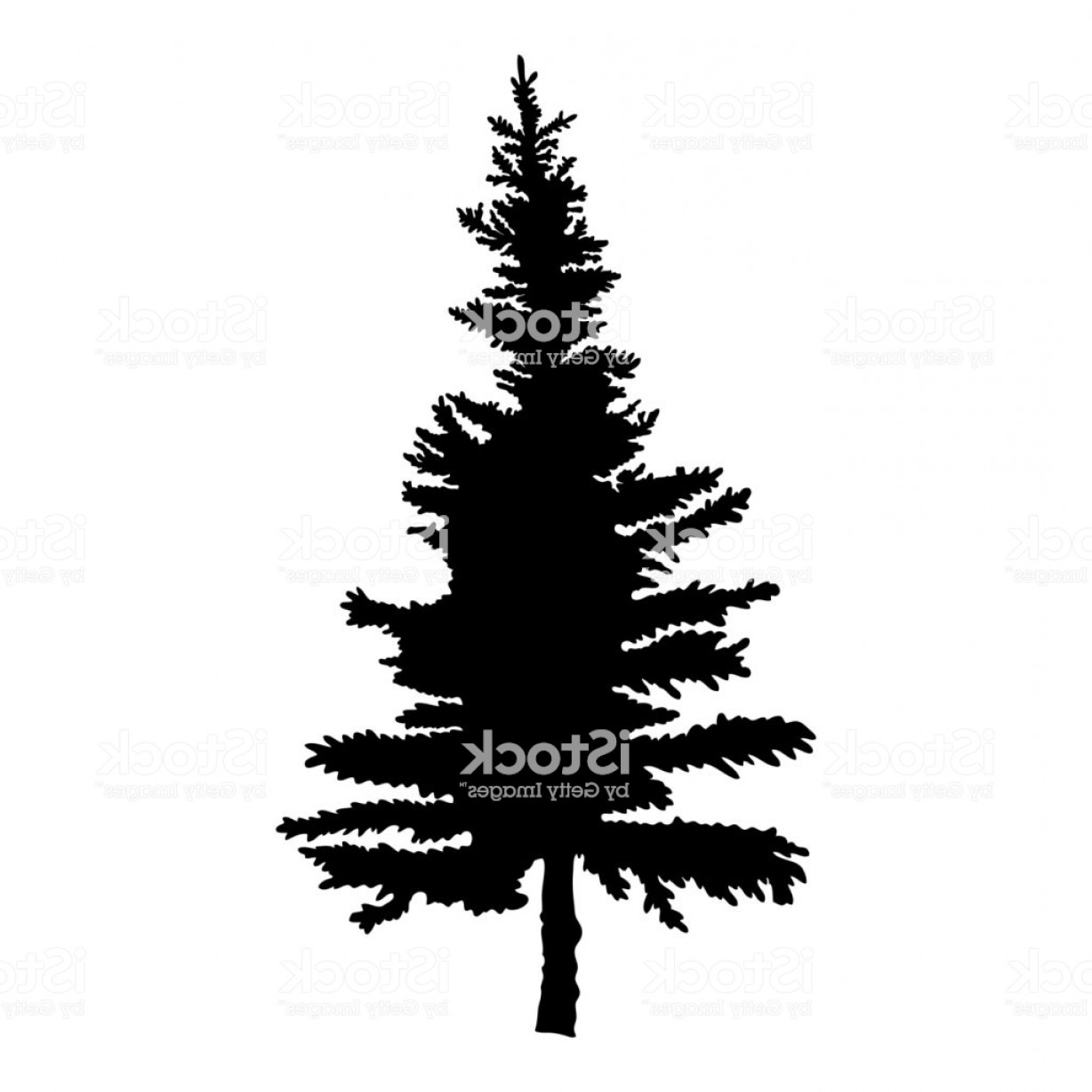1228x1228 Pine Tree Vector Format Createmepink