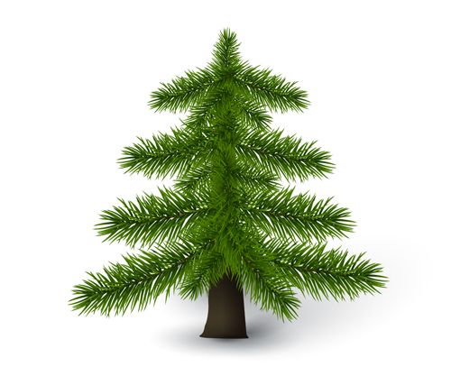 500x417 Christmas Green Fir Tree Vector Material 02 Free Download