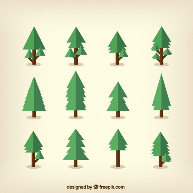 626x626 Pine Vectors, Photos And Psd Files Free Download