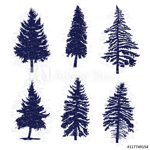 500x500 Set Of Hand Drawn Textured Fir Tree Vector Illustration