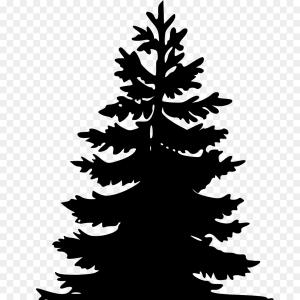 300x300 Trees In Flat Style Spruce Fir Tree Pine Vector Arenawp