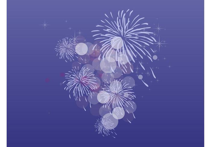 700x490 Fireworks Vector