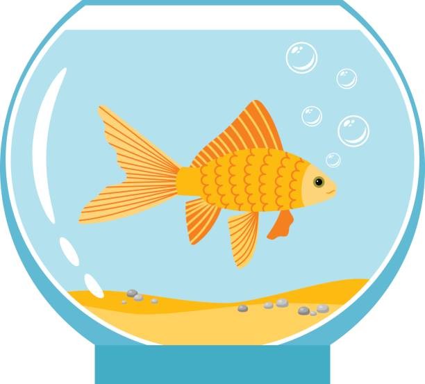 612x553 Fish Bowl Clipart
