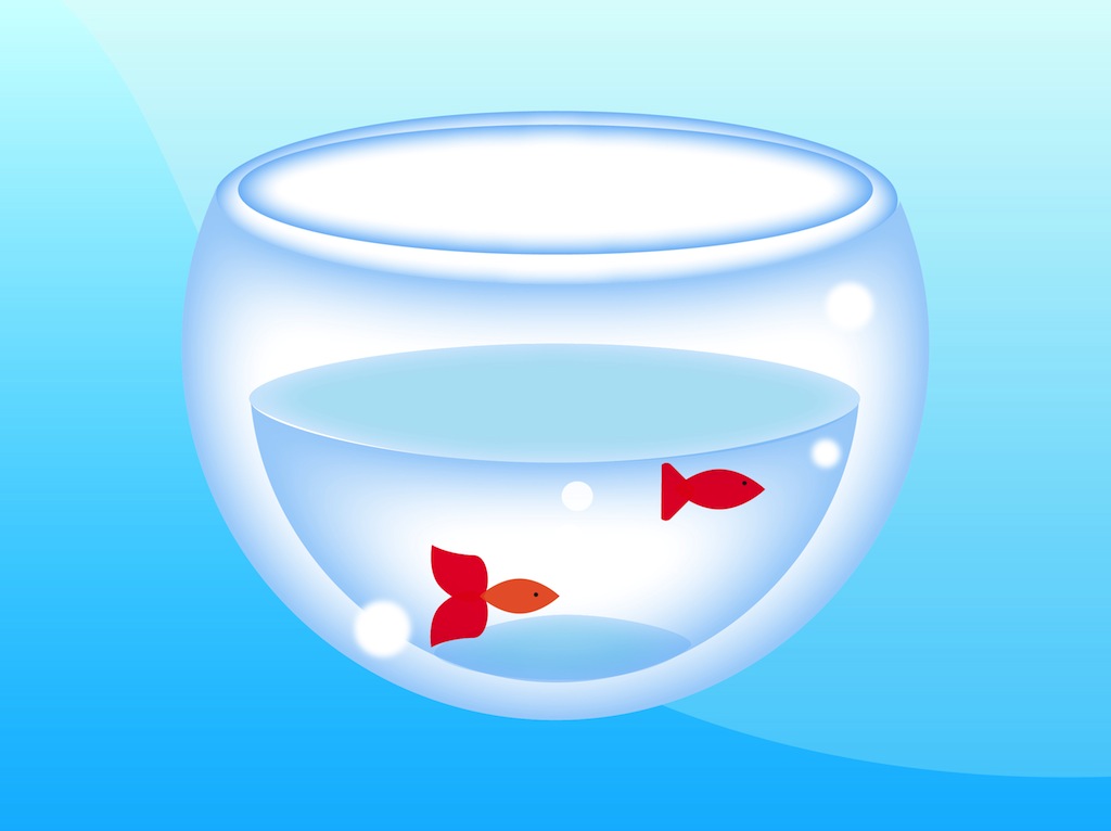1024x766 Fish Bowl Vector Vector Art Amp Graphics
