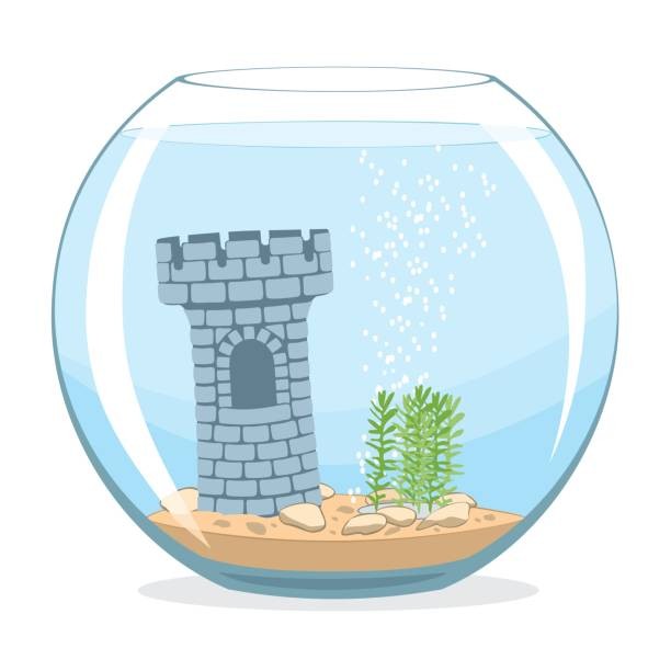 612x612 Fishbowl Aquarium Vector Id653749814 K 6 M 653749814 S W 0