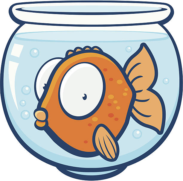 612x605 Fishbowl Clipart Collection