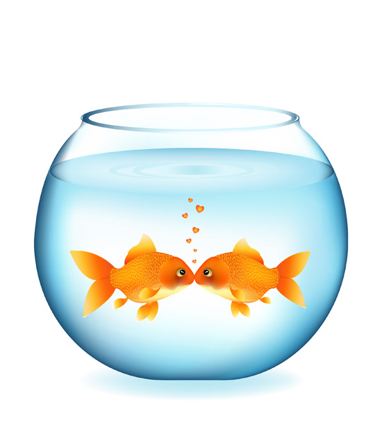 550x625 The Social Fish Bowl (Haiku) Ginzamptonic