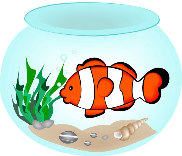 600x513 Vector Image Of A Fish Bowl.
