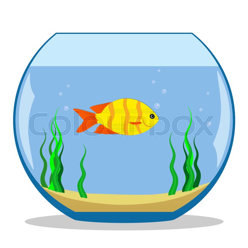 800x800 Colorful Exotic Fish In A Fishbowl With Seaweed And Sand On The