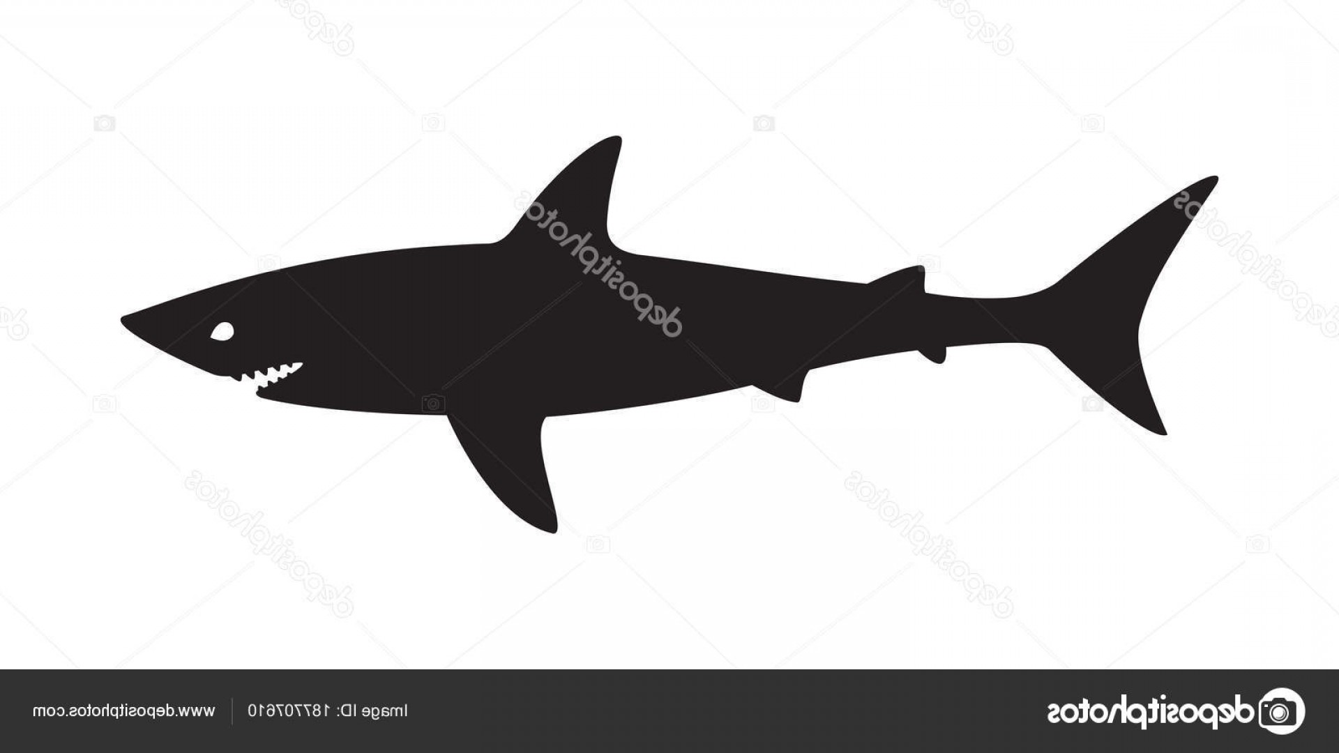 1920x1080 Stock Illustration Shark Vector Logo Fish Icon Orangiausa