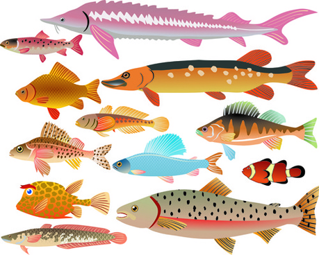 459x368 Fish Vector Free Vector In Adobe Illustrator Ai ( .ai ) Vector