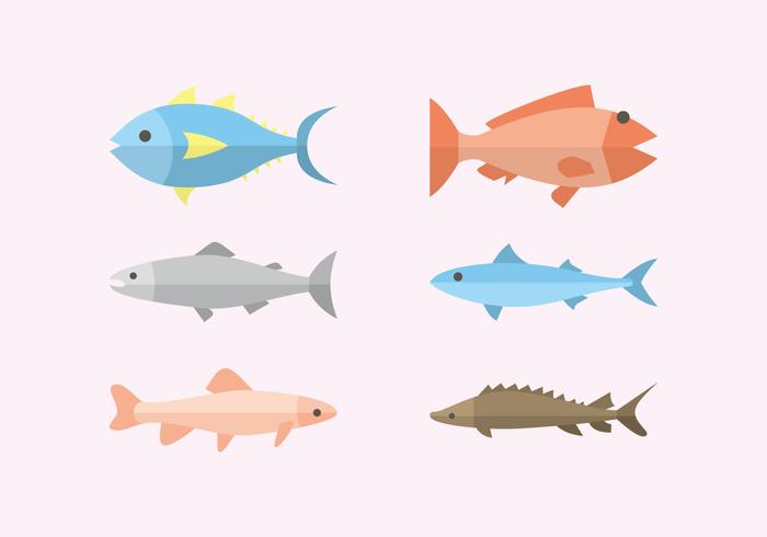 700x490 Flat Fish Illustration Vector