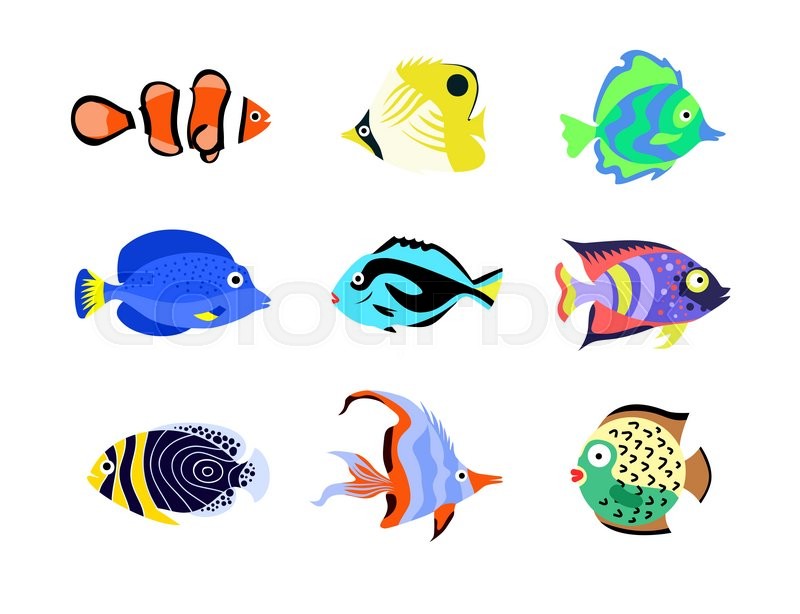 800x614 Tropical Fish Vector Illustration Icons Set. Fish Flat Style