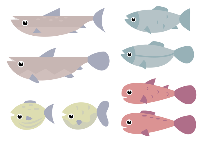 700x490 Fish Vector