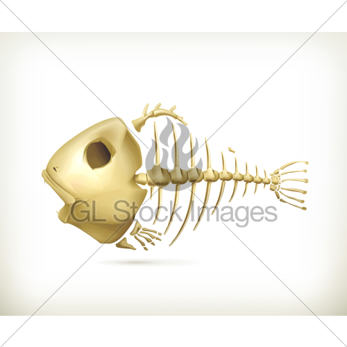 500x500 Fish Skeleton Vector Gl Stock Images