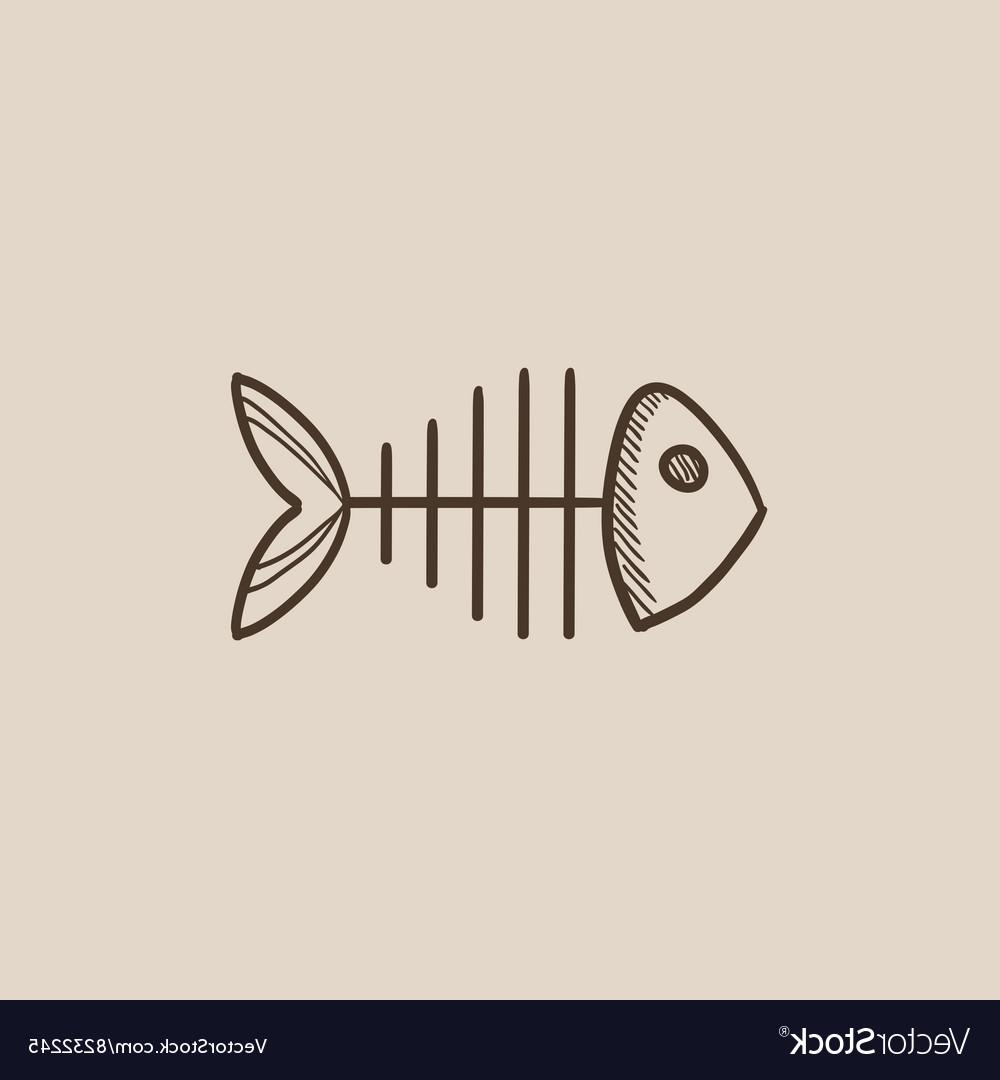 1000x1080 Best Fish Skeleton Drawings Vector Design Free Vector Art