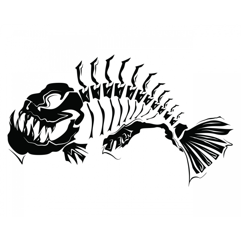 800x800 Fish Skeleton Vector Art Free Vector Download