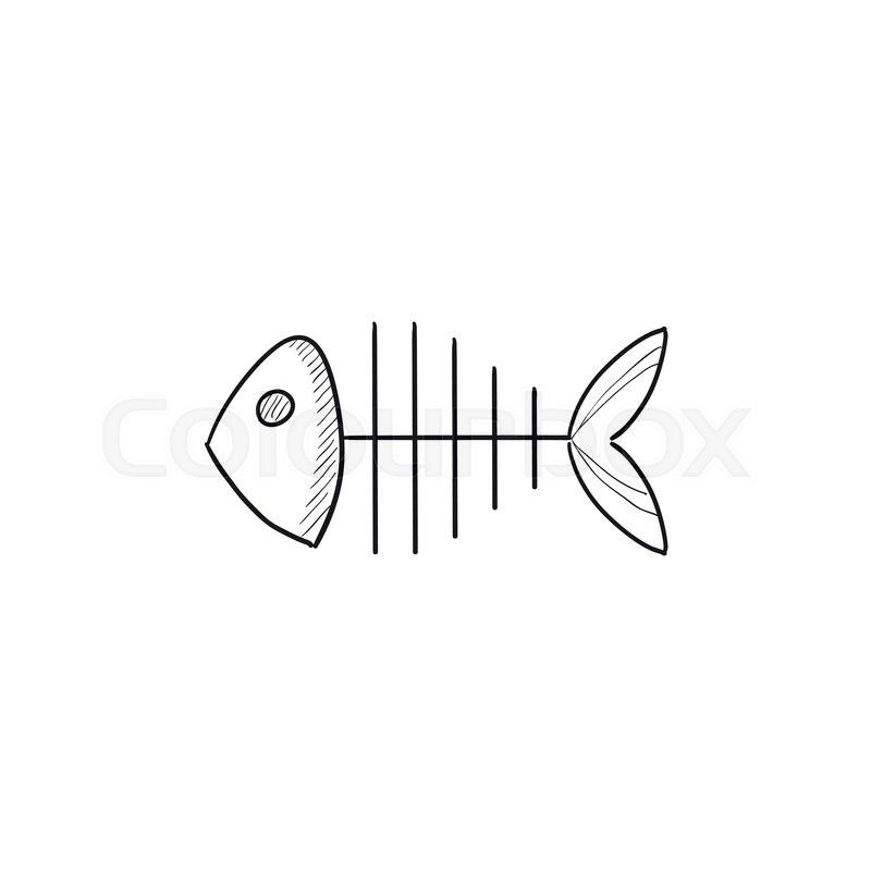 800x800 Fish Skeleton Vector Sketch Icon Isolated On Background. Hand