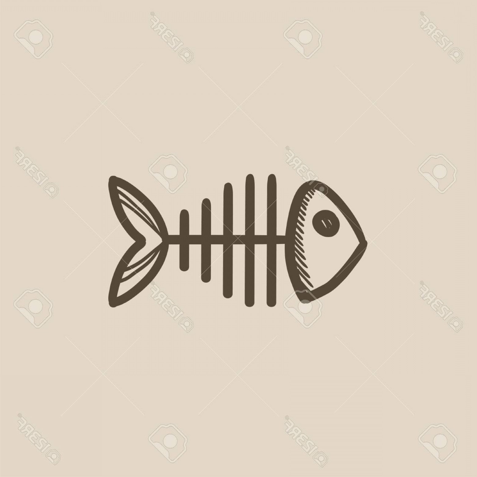 1560x1560 Photostock Vector Fish Skeleton Vector Sketch Icon Isolated On