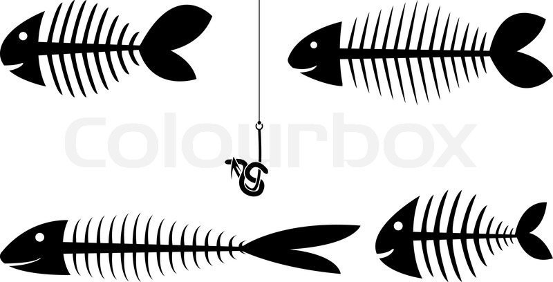 800x408 Set Of Fish Skeletons. Vector Illustration Stock Vector Colourbox