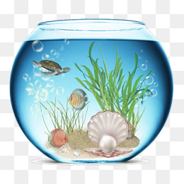 260x260 Fish Tank Png Images Vectors And Psd Files Free Download On