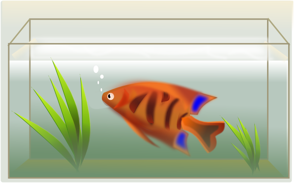 600x374 Fish Tank Clip Art Free Vector 4vector