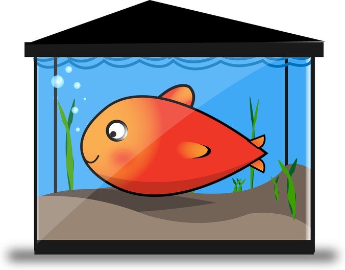 676x528 Free Free Vector Gold Fish Tank Psd Files, Vectors Amp Graphics