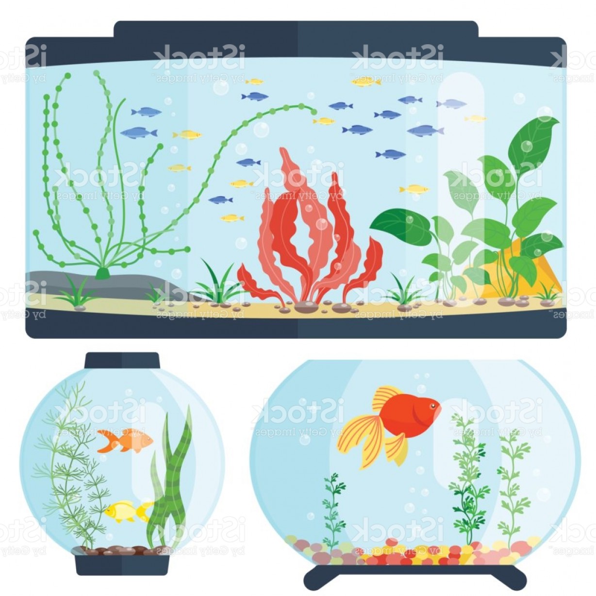 1228x1228 Transparent Aquarium Vector Illustration Habitat Water Tank House