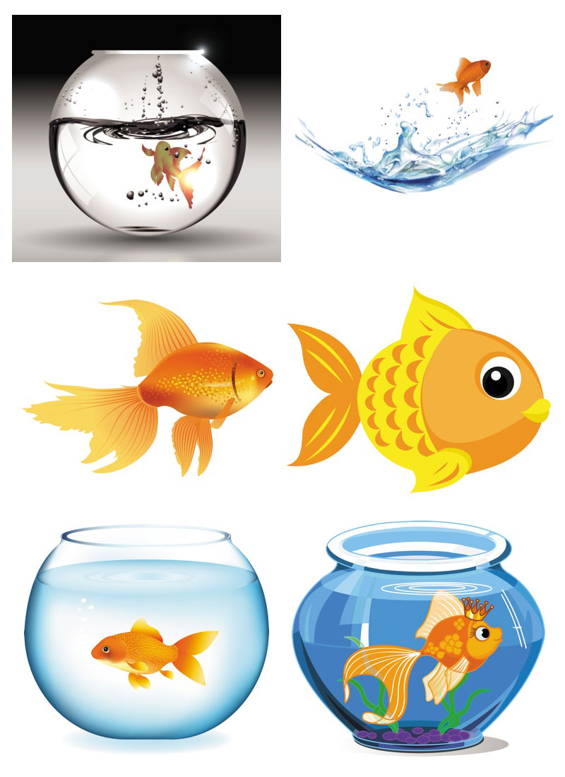800x1100 Aquarium Clipart Vector