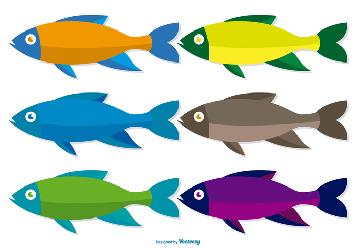 700x490 Colorful Fish Image Free Vector Free Vectors Ui Download
