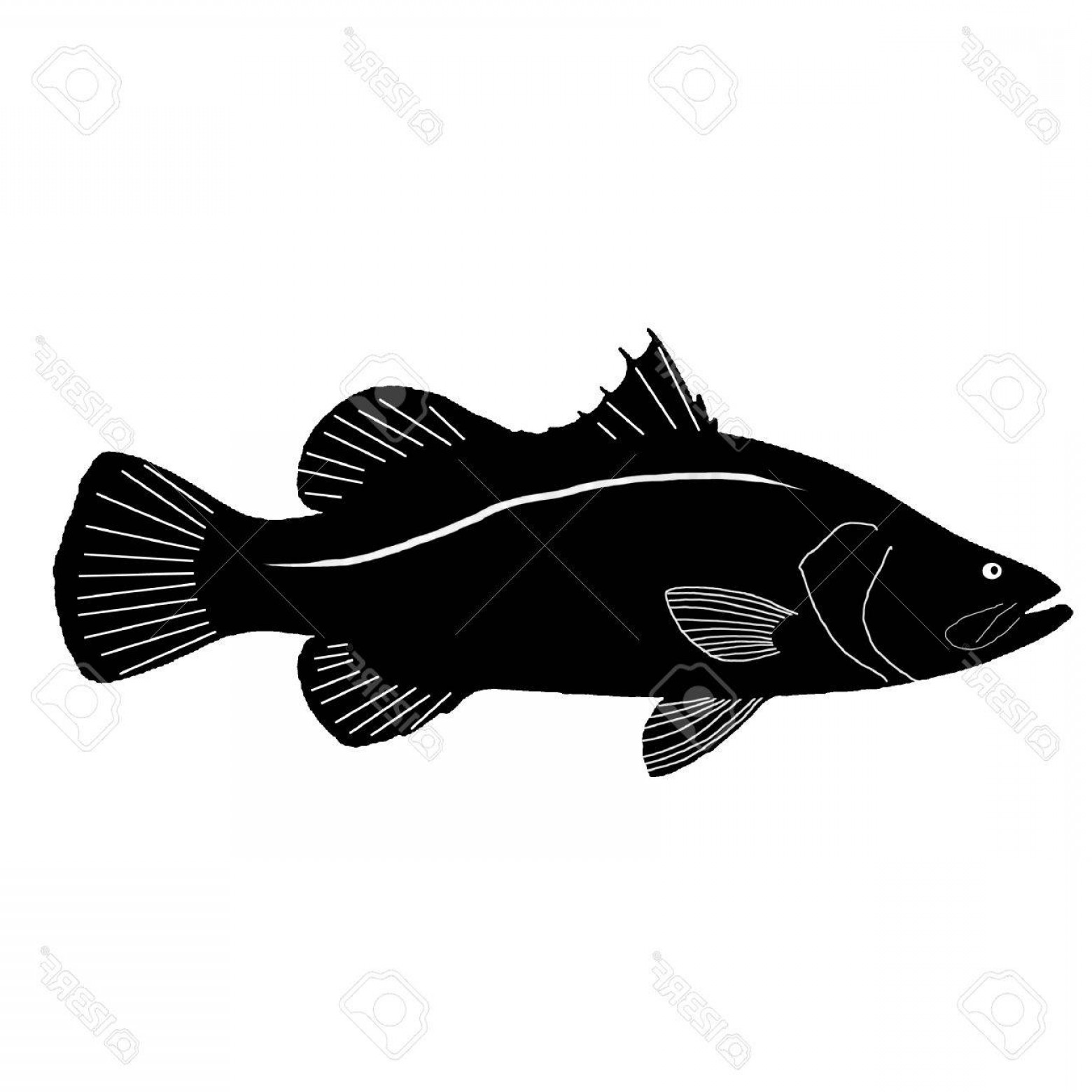 1560x1560 Silhoutte Fish Vector Art Shopatcloth