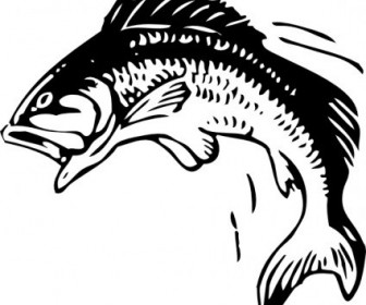 336x280 Vector Jumping Fish Vector Clip Art