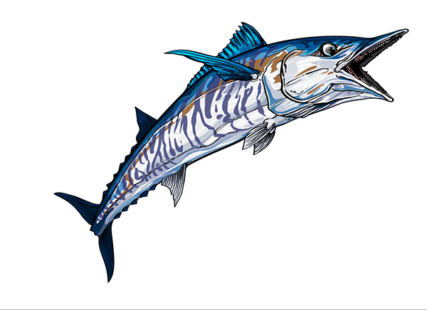 600x436 Wahoo Sport Fish On Behance