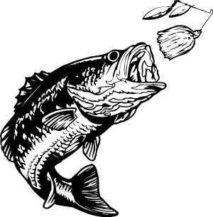 300x305 Bass Fish Vector Clipart
