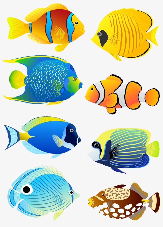 650x902 Fish Vectors, 6,157 Graphic Resources For Free Download