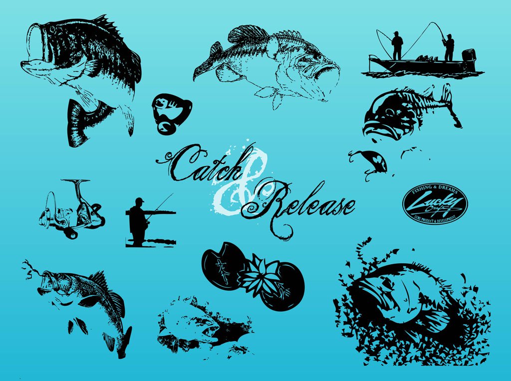1024x764 Fishing Vector Vector Art Amp Graphics