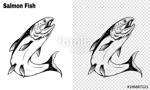 500x300 Salmon Art Highly Detailed In Line Art Style.fish Vector By Hand
