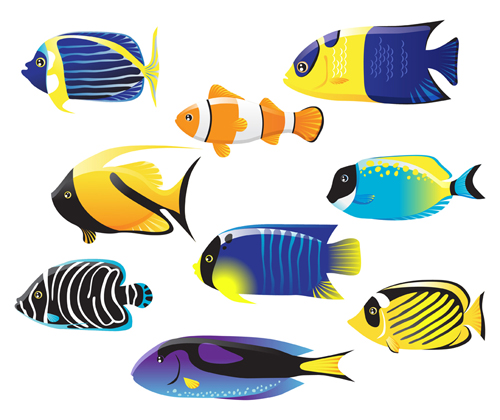 500x420 Set Of Various Fish Vector 02 Free Download