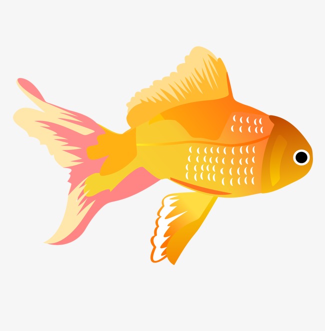 650x662 Yellow Tropical Fish, Fish Vector, Yellow Vector Png And Vector