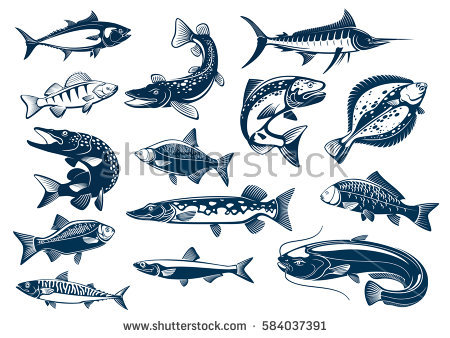 450x338 Collection Of Free Carping Clipart Mackerel. Download On Ubisafe