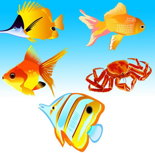 600x593 Fish Vector Free Download 123freevectors