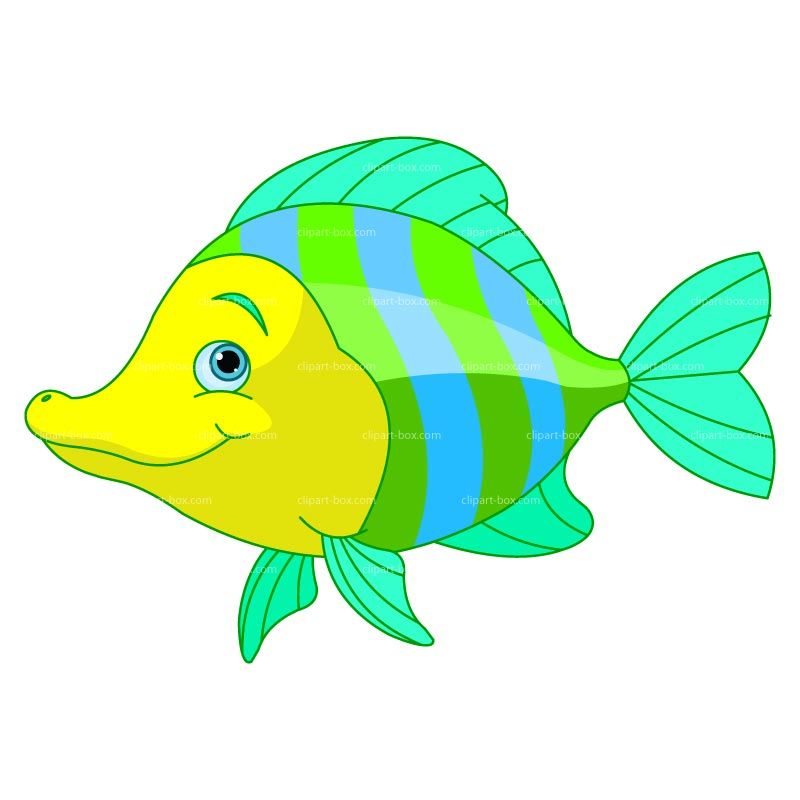 800x800 Vector Fish And Game Chart